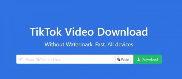 Free Tiktok Downloader Without Watermark - JavaWebmaster.com